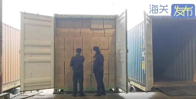 巨額罰款！20噸